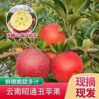 【二娃专属】云南昭通冰糖心丑苹果老树丑苹果脆甜多汁新鲜