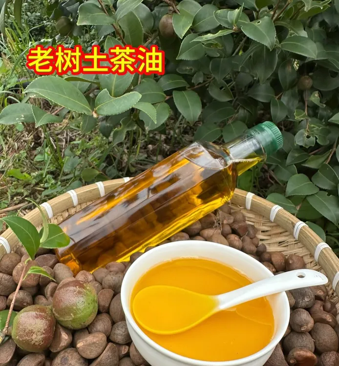 【土茶油500ml装】老树小籽山茶油传统物理压榨头道油纯山茶油