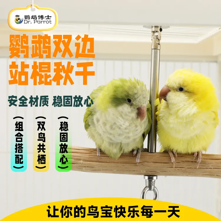 鹦鹉秋千摇摆玩具小鸟吊环牡丹玄凤和尚啃咬解闷站杆站棒鸟笼玩具