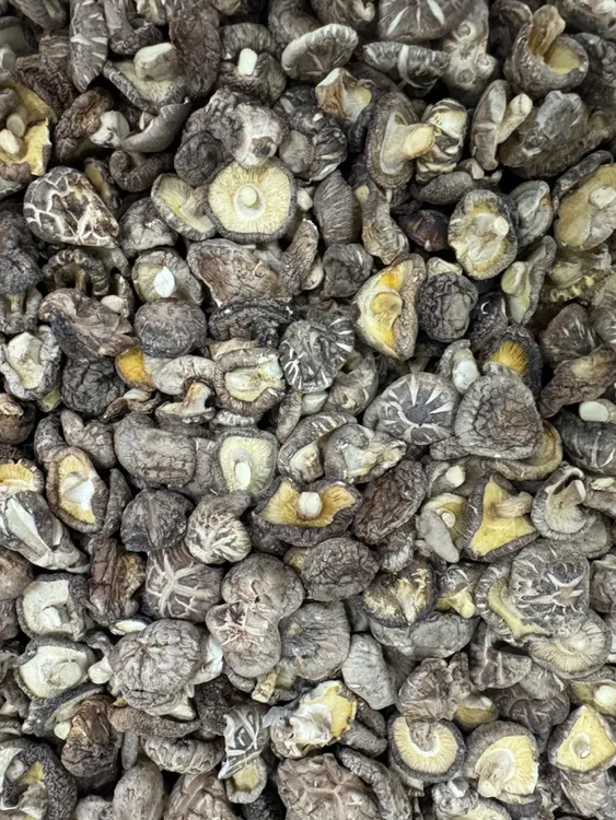 肉质厚实中个香菇