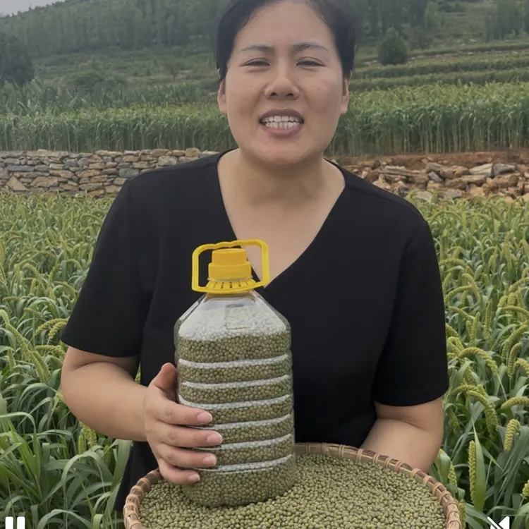 2025年农家自种老品种新毛绿豆软糯好煮出沙新豆生豆芽