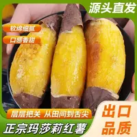 玛莎莉红薯超甜香糯无丝黄心蜜薯糖心东北烤地瓜
