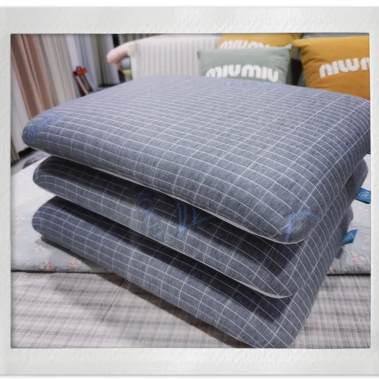 学生博士枕记忆棉透气高弹不变形两用可拆洗