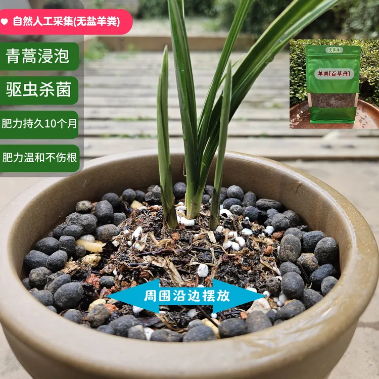 自然采集纯羊粪百草丹[青蒿泡制驱虫杀菌]云南浙商兰苑