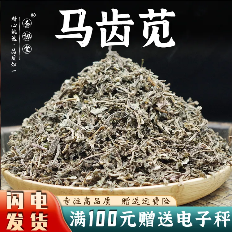 马齿苋中药材马齿苋新鲜的马齿苋菜干货茶马屎苋马生菜粉泡澡药浴