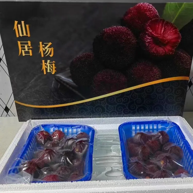 正宗台州仙居东魁杨梅当季新鲜水果现摘现发顺丰冷链