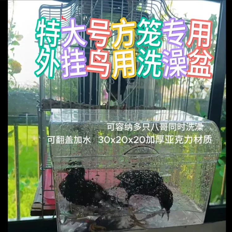 特大号鸟用洗澡盆盒方笼外挂八哥专用洗澡盆盒