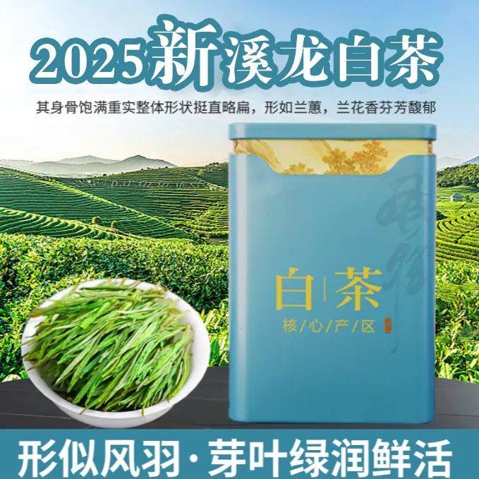 2025新茶高山白茶好喝的茶叶浓香型春茶明前安吉新茶叶