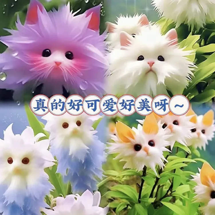 爆款热卖大花脸猫兰花满屋香浓香新款盆栽外形可爱清香芬芳除甲醛