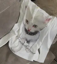 【HAV】  新款时髦百搭圆领半开扣设计感猫咪字母印花长袖套头上衣