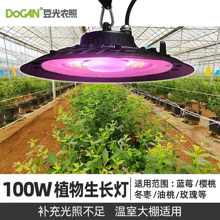 100W大棚樱桃蓝莓冬枣油桃玫瑰花卉专用补光灯全光谱植物补光灯