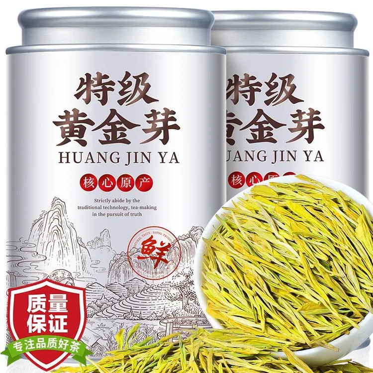 【口粮黄金芽】绿茶2025新茶浓香嫩芽茶叶正宗浙江珍稀白茶送礼罐装