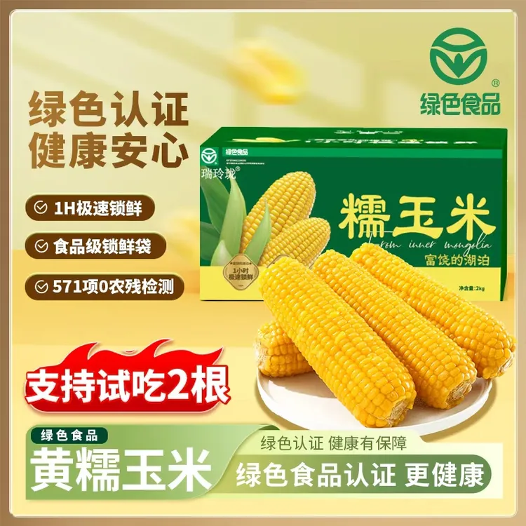 25年新季黄糯玉米8根整箱2.4kg 新品种香甜软糯绿色食品认证T