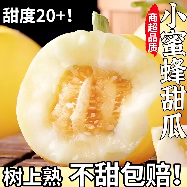 G(果然好专属)现摘头茬正宗小蜜罐甜瓜星甜20甜瓜脆甜小蜜蜂露天