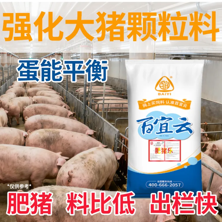【视频专属福利】百宜云肥猪乐强化大猪料年底催肥出栏全价配合料