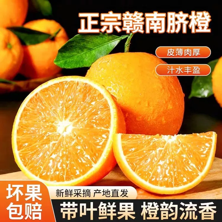 正宗赣南脐橙当季新鲜水果橙子现摘农家甜橙子