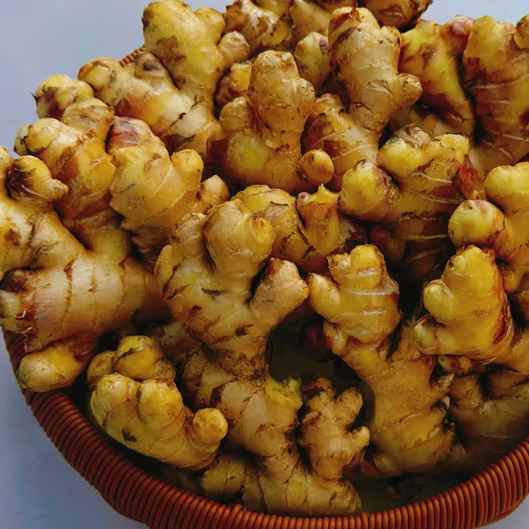 贵州高山显微镜新鲜现挖小黄姜嫩姜口感清脆五块钱新鲜生姜包邮