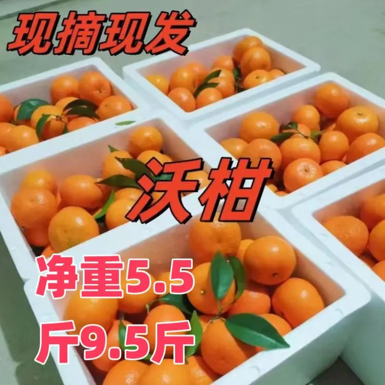 正宗武鸣沃柑广西沃柑汉邦普通果孕妇水果当季新鲜桔子橘子橙子