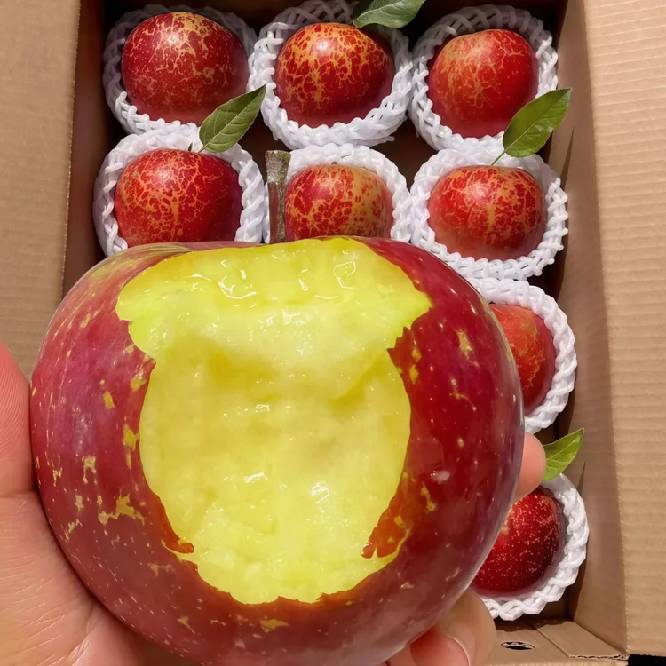 正宗云南昭通冰糖心丑苹果脆甜红富士产地直发现采摘当季新鲜水果