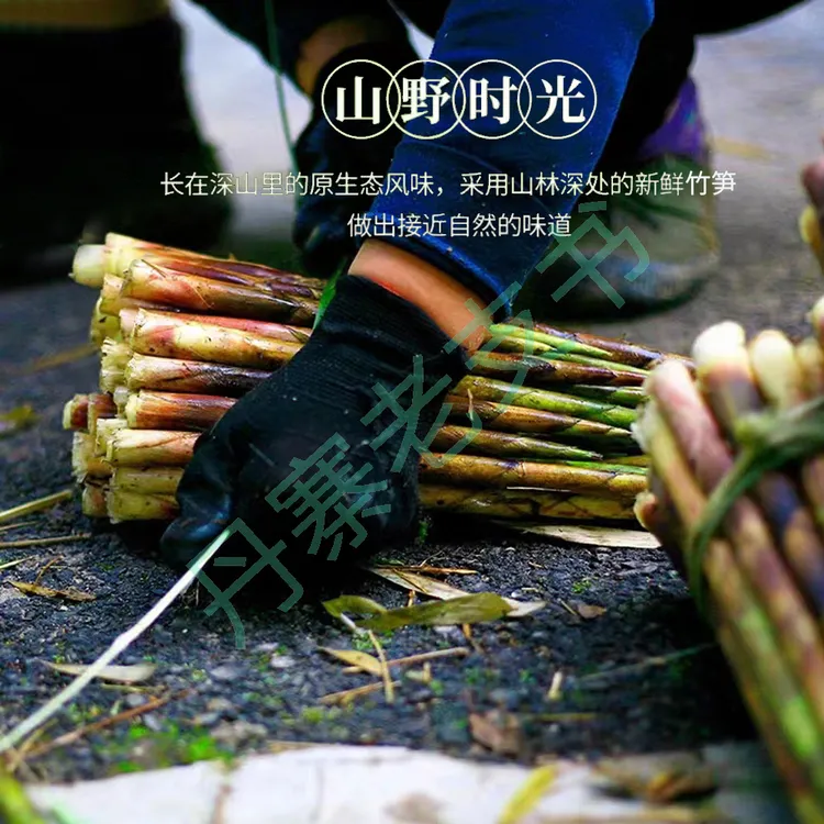 雷公山新鲜八月笋方竹笋小竹笋嫩竹笋带壳当季现采5斤泡沫箱发货
