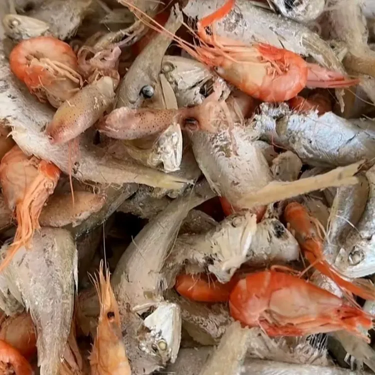 即食熟马口鱼虾混合3斤(新疆西藏不发货)