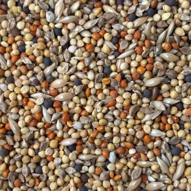 珍珠十姐妹黄雀玉鸟小型雀类金青雀类鸟食纯宠物粮食批发鸟食草籽