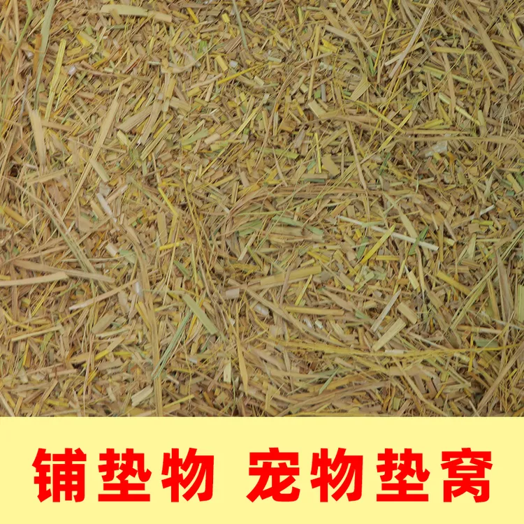 稻草碎末天然干草宠物垫窝草干稻草牛羊猪料狗鸭窝草道具谷草秸秆