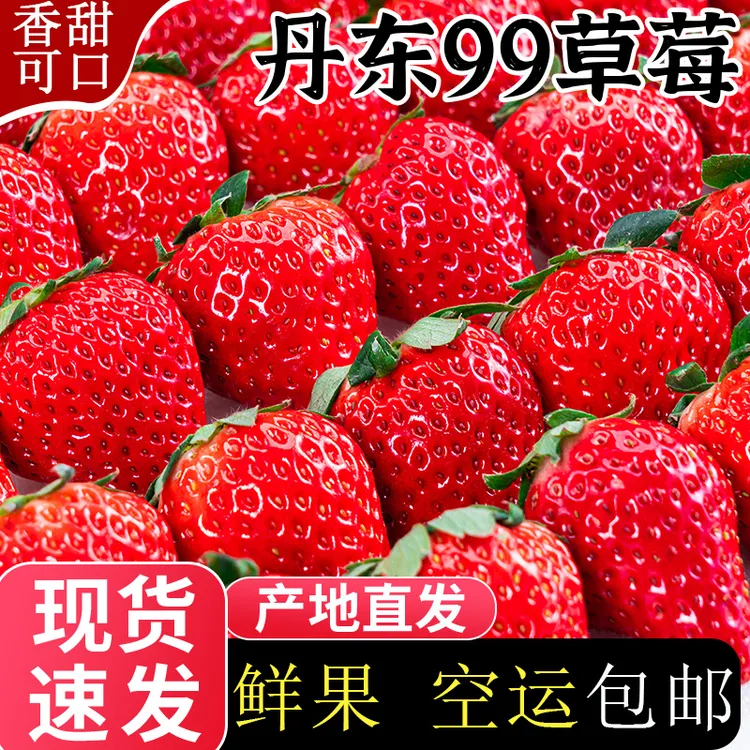 【亏本冲量】丹东99新鲜草莓当季头茬水果红颜奶油现货秒发应季香甜