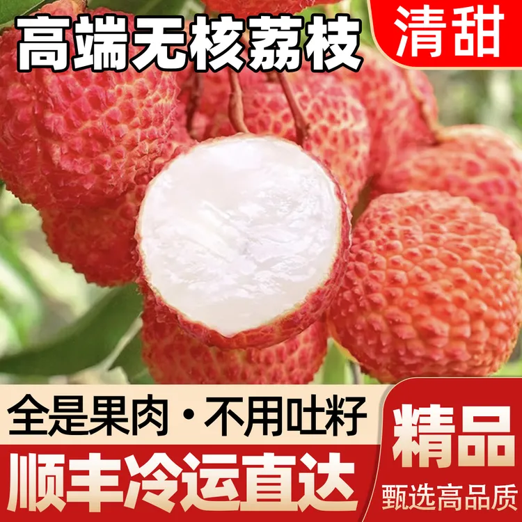 【顺丰冷链】无核荔枝新鲜当季水果广东产地直发净重2斤/4斤整箱