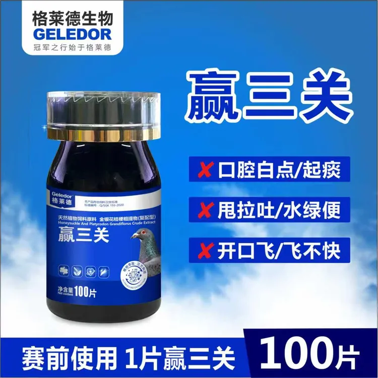 赛信鸽赛前调理清理呼吸道解决张嘴呼吸黑红鼻头问题