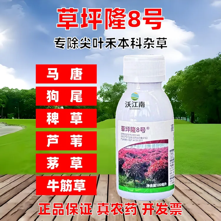 草坪隆8号绿篱小苗除草剂黄杨石楠冬青女贞茅草芦苇铺地黍杂草剂