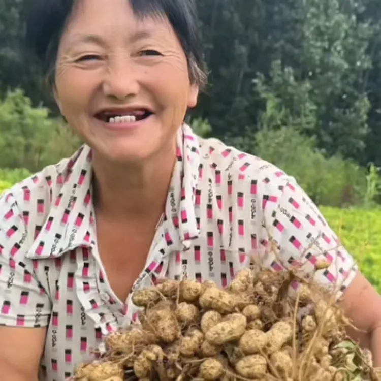 平平家现拔白沙豆湿花生农家自种
