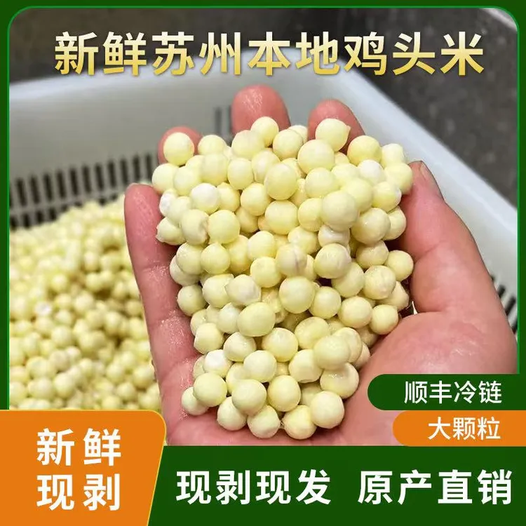 正宗苏州特产新鲜手剥鸡头芡实米大颗粒鲜芡实清香鸡头米芡实新鲜