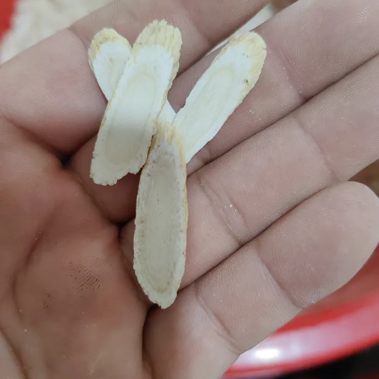 西洋参3克条斜切片，瓜子片