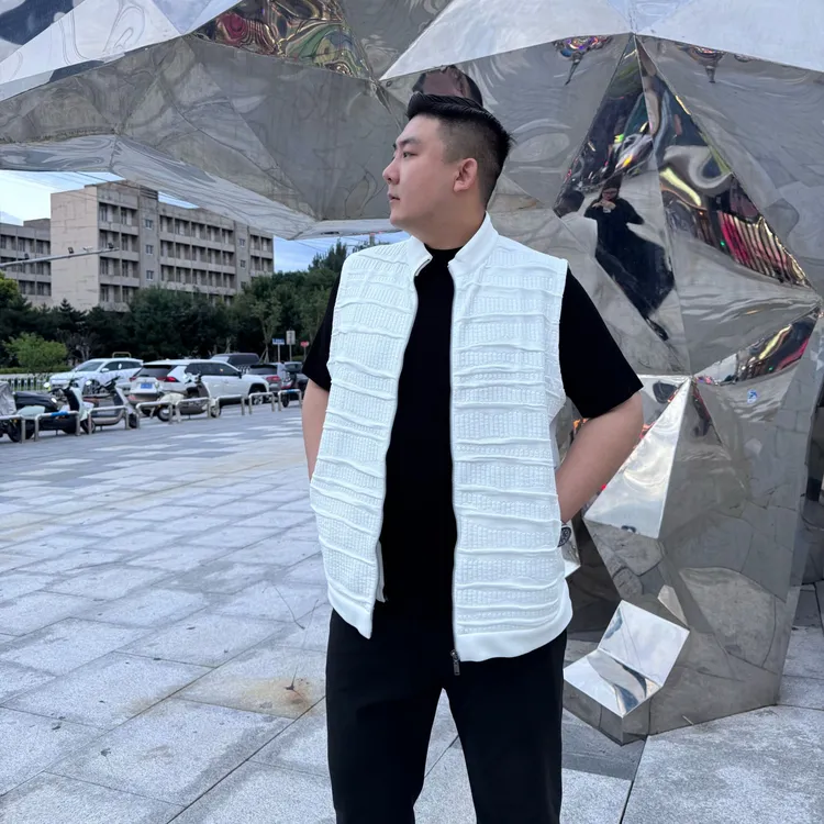 【建平轻熟潮流推荐】大码男士秋季新款潮流时尚休闲立领拉链马甲