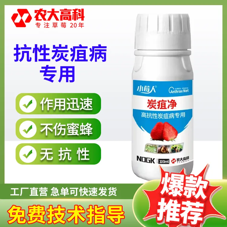 炭疽病专用生物菌剂不伤花果不伤蜜蜂