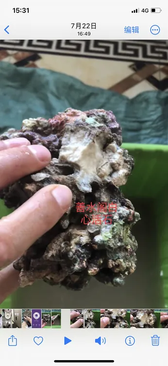 善水阁  手选白心活石。活石造景、开缸、30-大尺寸海缸均可，