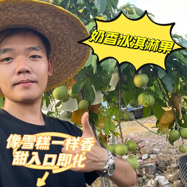 小中大冰淇淋果W4[京东包邮]