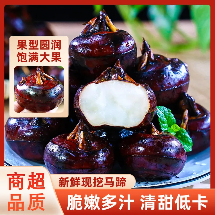 新鲜马蹄荸荠脆甜多汁果型圆润饱满当季现挖时令水果蔬菜2/5/9斤