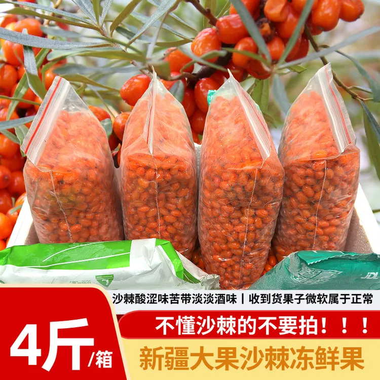 新疆有机深秋红大果沙棘冻鲜果 京东顺丰冷链运输 2KG/箱