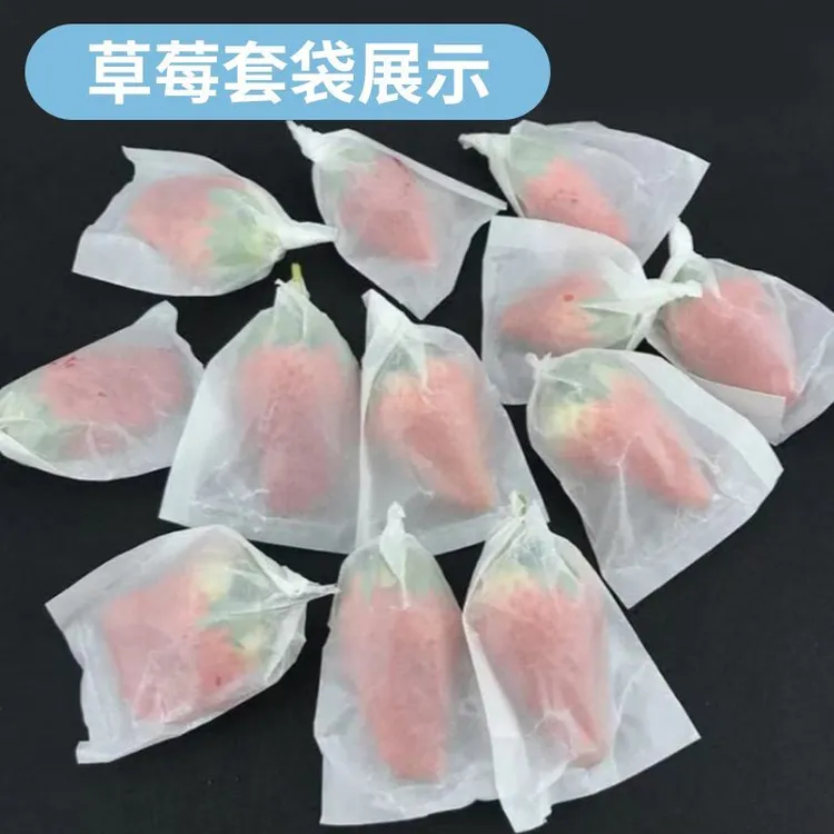 草莓专用套袋樱桃套袋防虫防鸟防水防病蜡纸袋无花果车厘子纸套袋