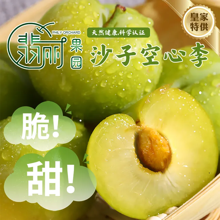 新鲜采摘酸脆可口沿河空心李当季应季水果孕妇解腻佳选