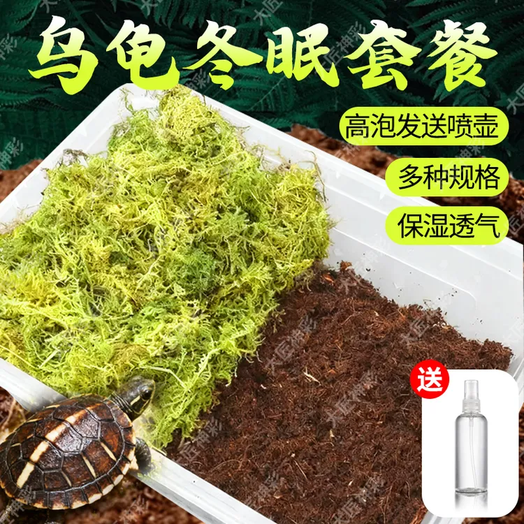 乌龟全套冬眠过冬用品无菌椰砖苔藓套装寄居蟹沙爬宠垫料脱盐椰土