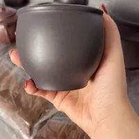 紫砂茶壶黄龙山原矿天青