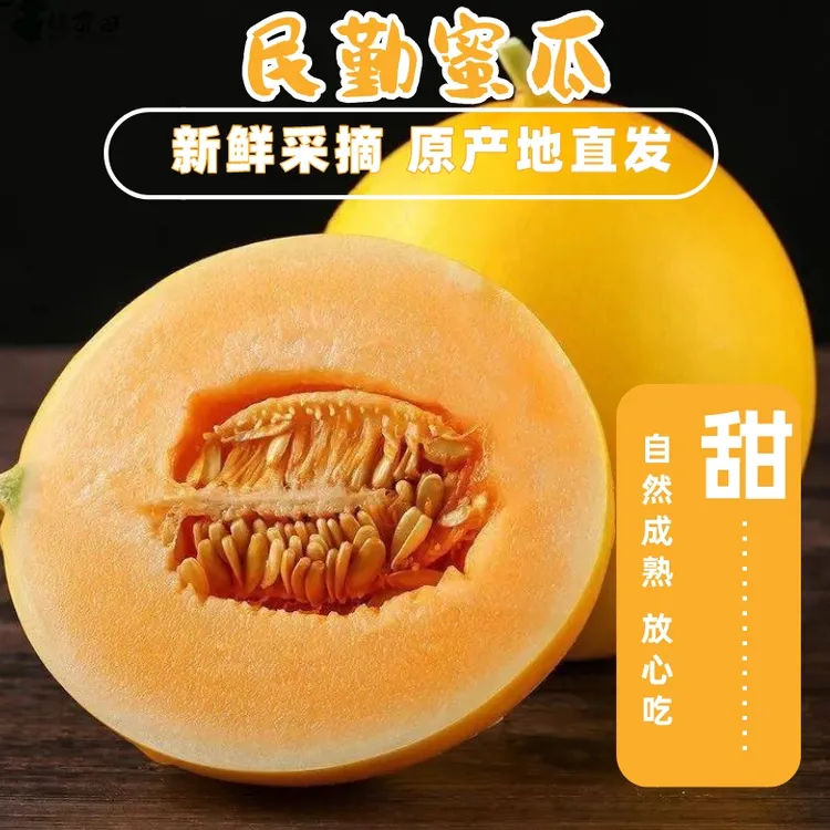 甘肃民勤沙漠金红宝蜜瓜新鲜采摘脆甜多汁坏果包赔