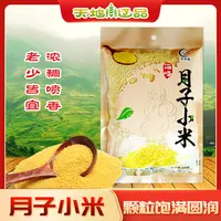 铁岭月子小米杂粮农家山地种植五谷杂粮食用粗粮金黄饱满天地辽品