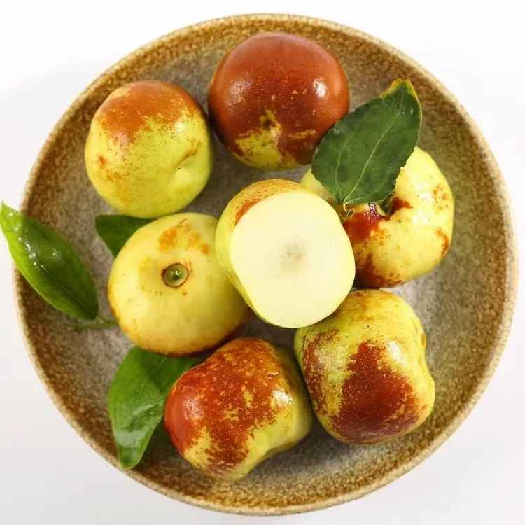 正宗山西蟠枣苗基地直发大果纯甜大蟠枣树 现拍现挖（基地直供）