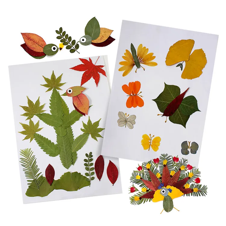 干花树叶手工材料包学生幼儿园儿童diy创意春天植物标本创意贴画