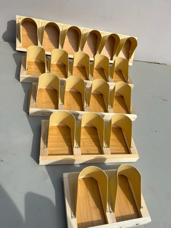 鸽子简易进口➕撞门款只进不出