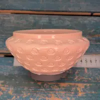 多肉一物一拍0223-191